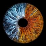 Eyemazy discount code